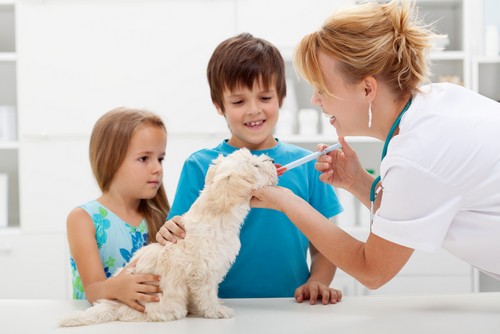 Vaccinations  Lithia Springs, GA